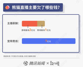 圖解王思聰商業(yè)風(fēng)波 從“國民老公”到“限消令”漩渦，熊貓直播債務(wù)迷局待解